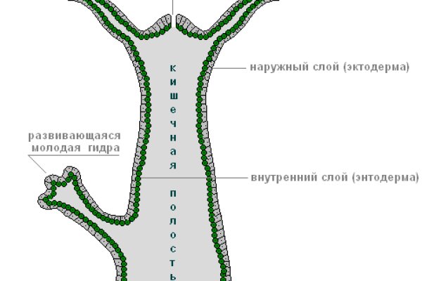 Кракен даркнет маркет ссылка тор