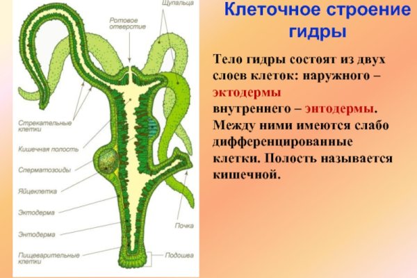 Kraken официальные зеркала